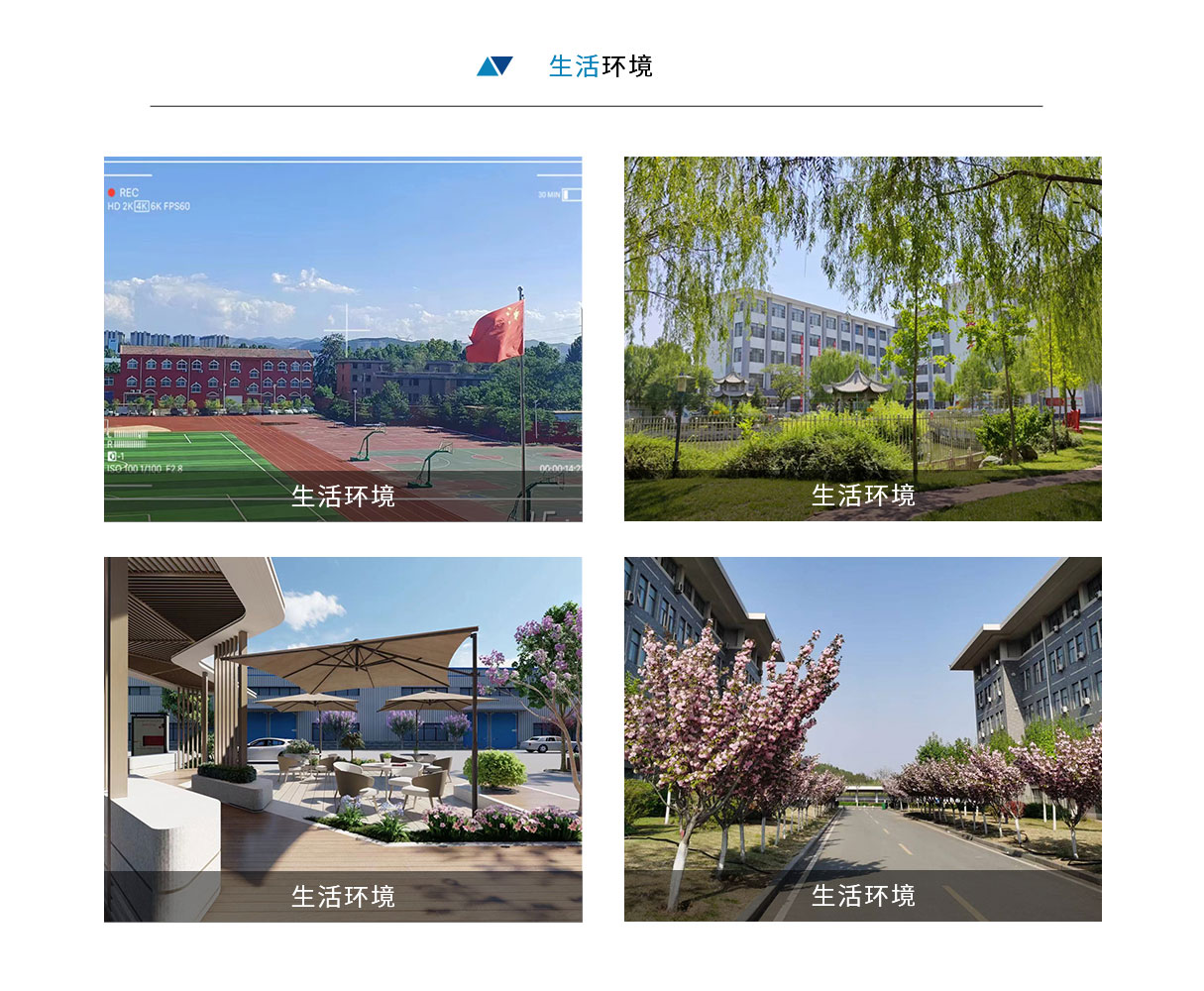 环境_03.jpg