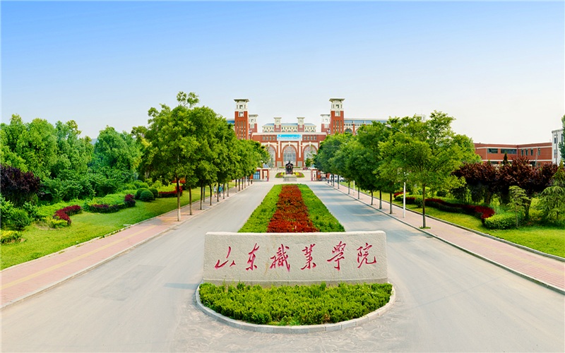 5山东职业学院.jpg