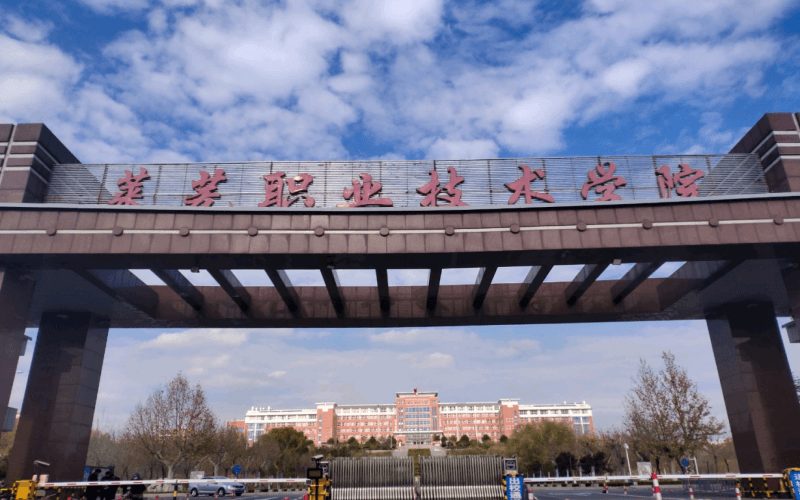 66莱芜职业技术学院.png